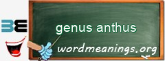 WordMeaning blackboard for genus anthus